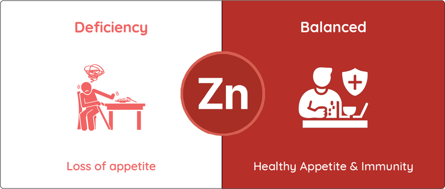 complete family nutrition