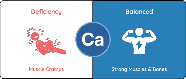 healthy eating for families